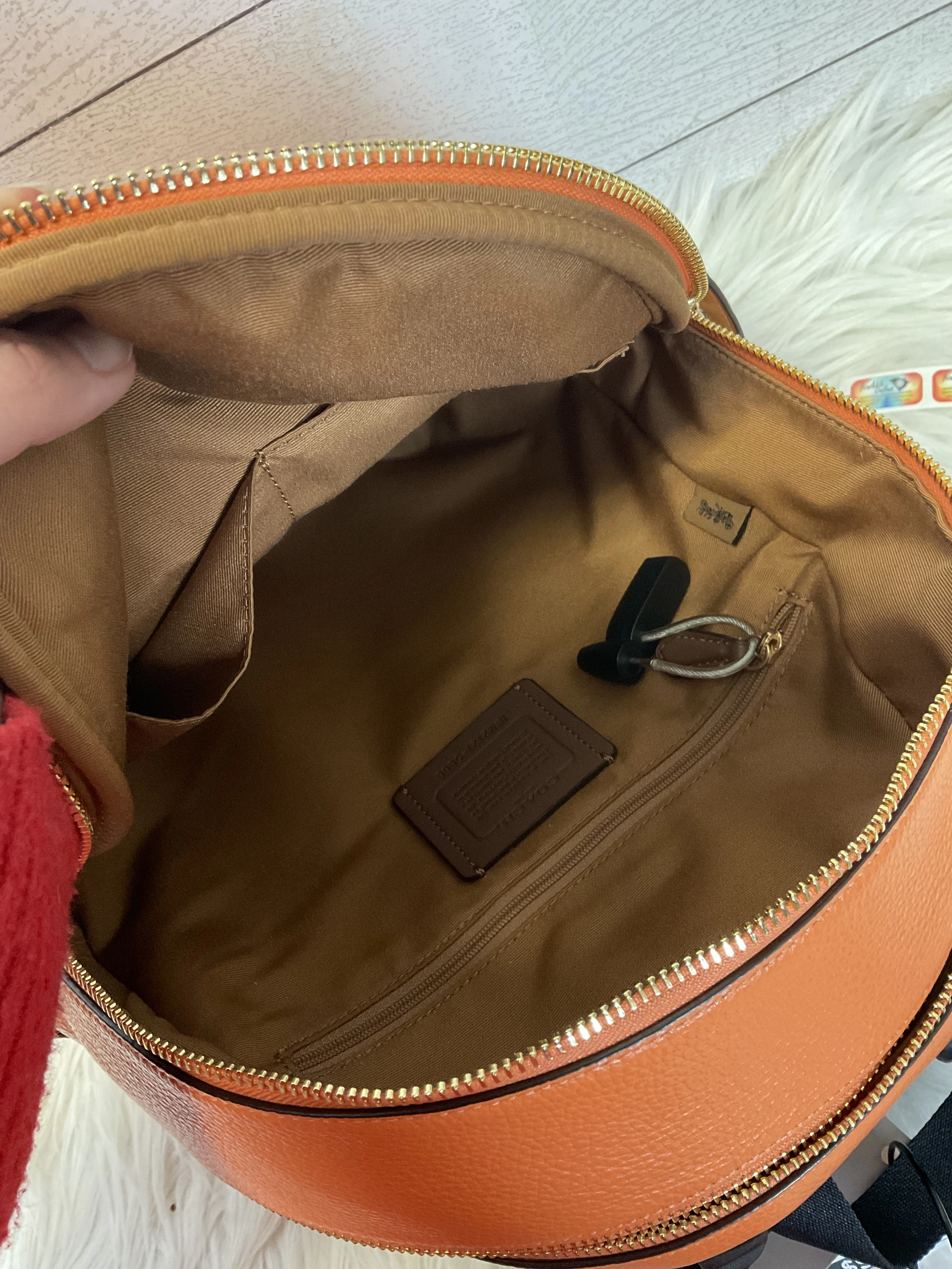 Backpack Designer By Coach  Size: Medium