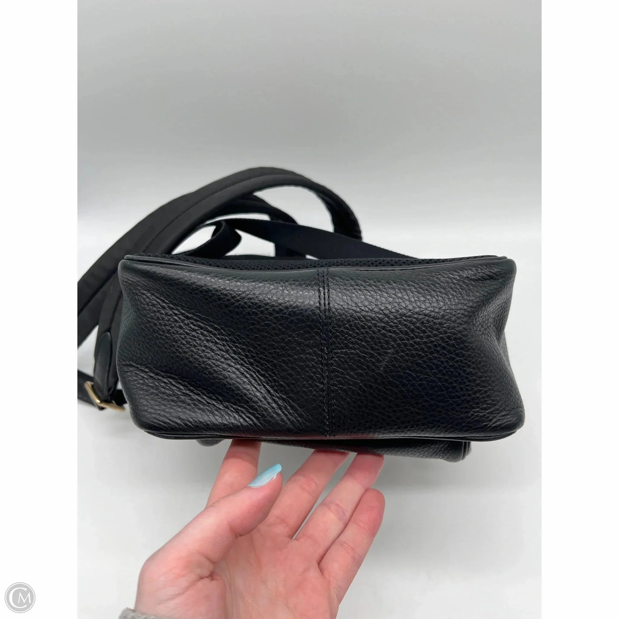 Backpack Designer By Coach, Size: Small