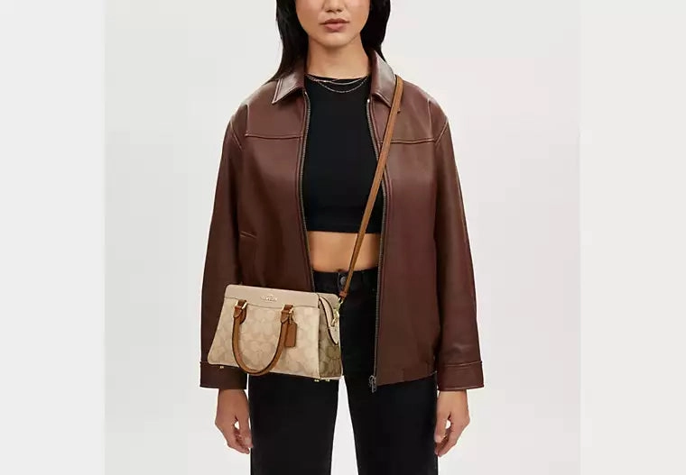 Coach Mini Darcie Carryall Bag In Blocked Signature Canvas