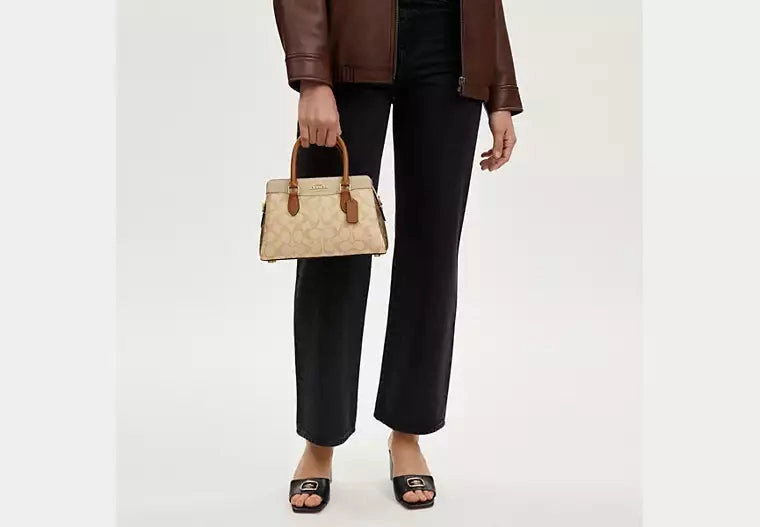 Coach Mini Darcie Carryall Bag In Blocked Signature Canvas