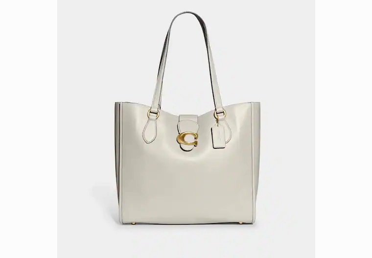 Coach Theo Tote