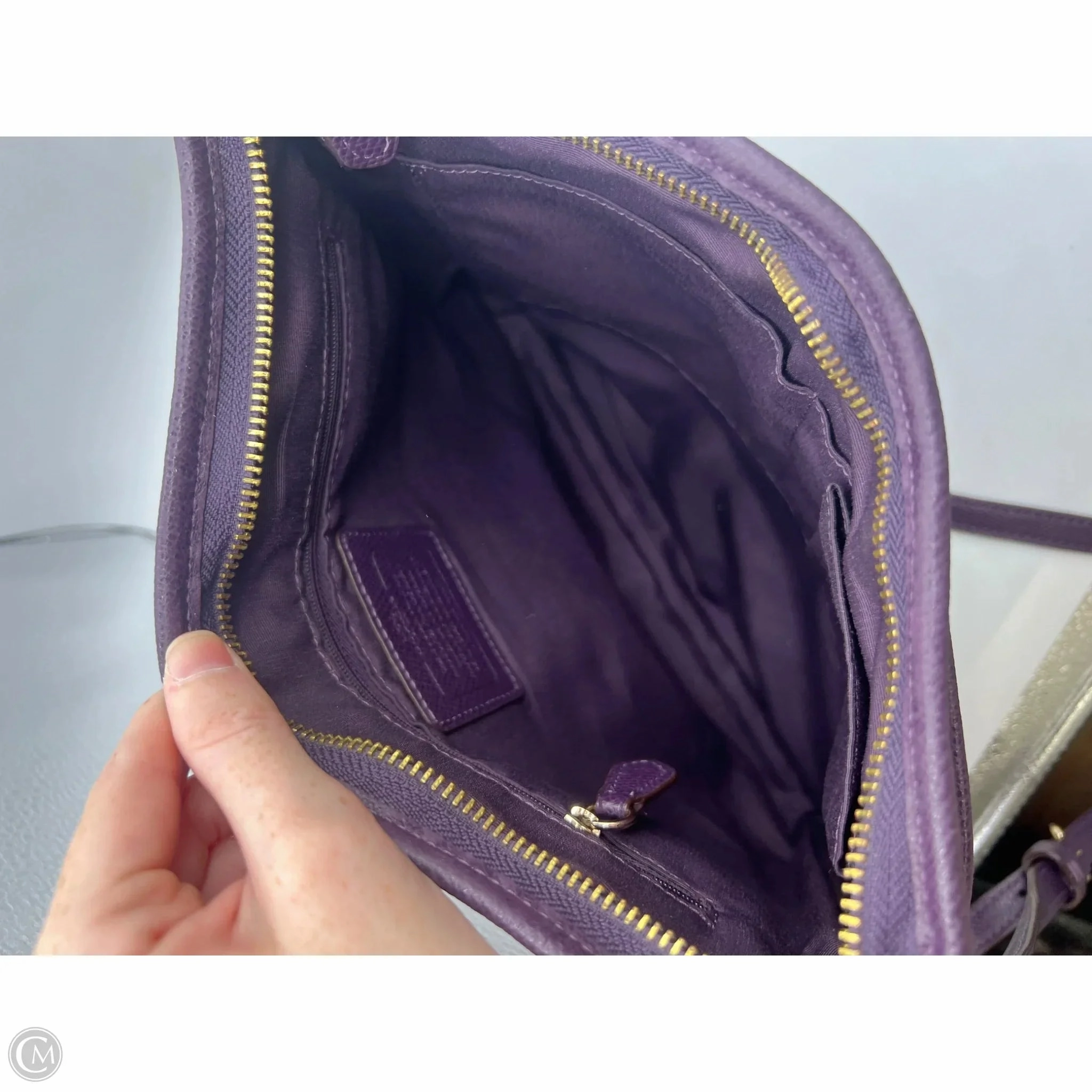 Crossbody Designer By Coach, Size: Large