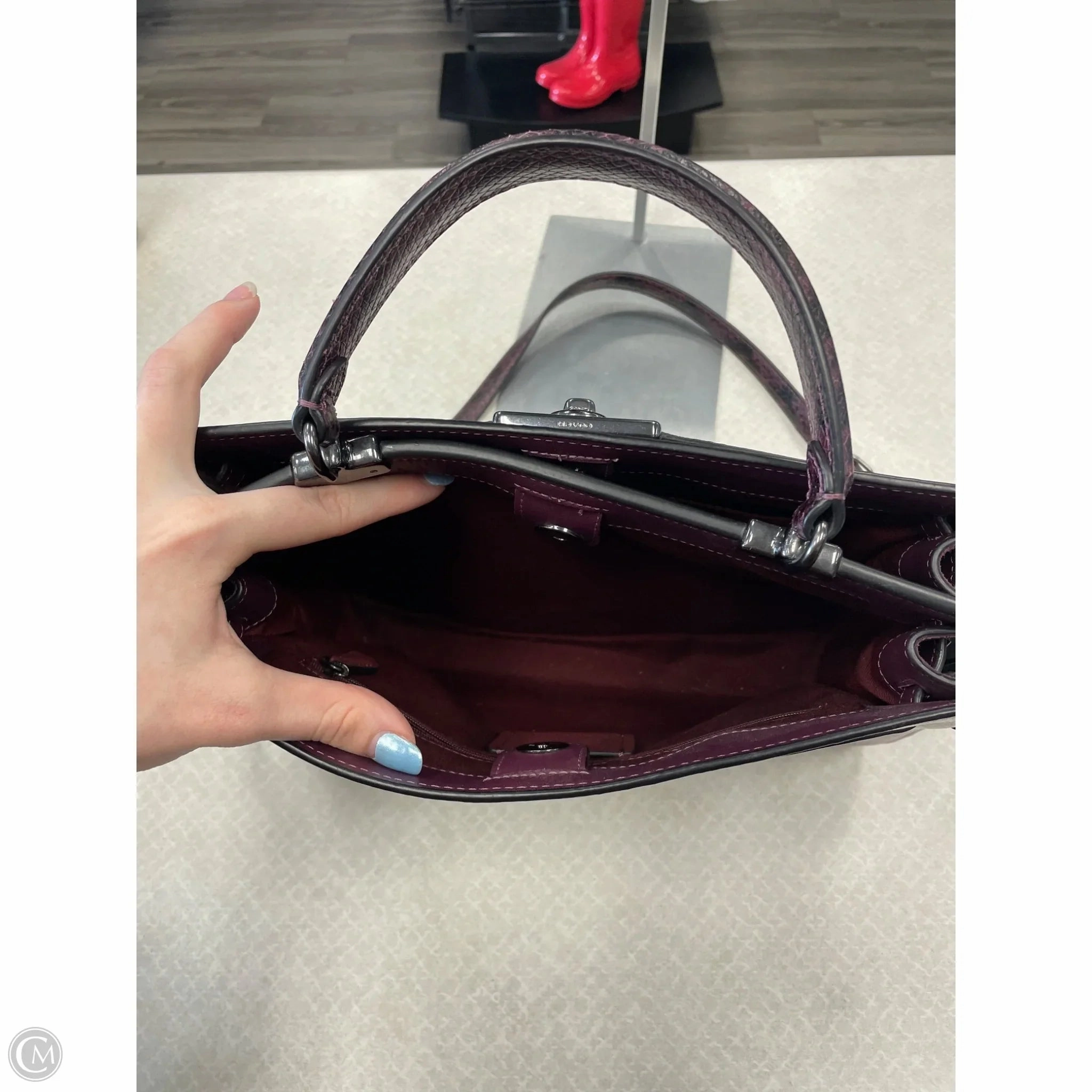 Crossbody Designer By Coach, Size: Large