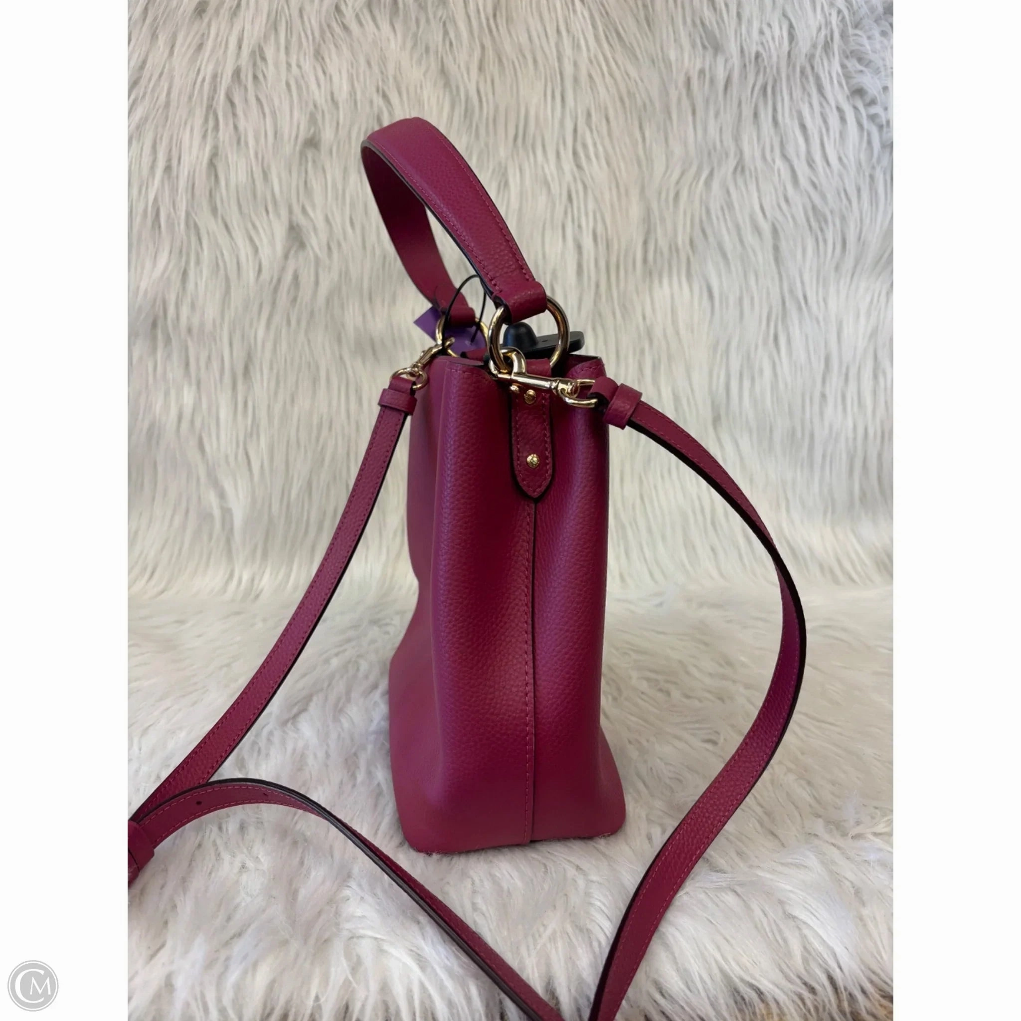 Crossbody Designer By Coach, Size: Medium