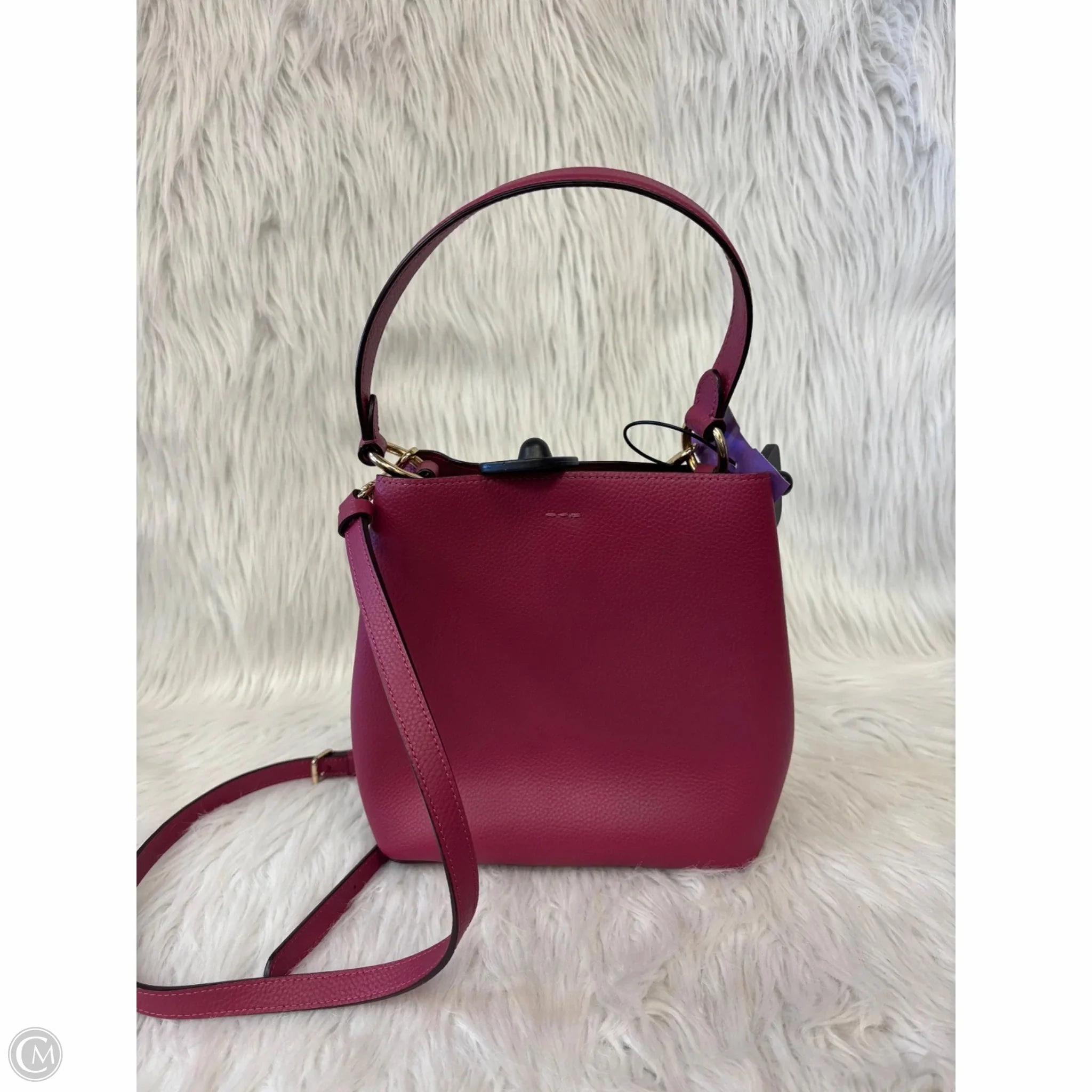 Crossbody Designer By Coach, Size: Medium