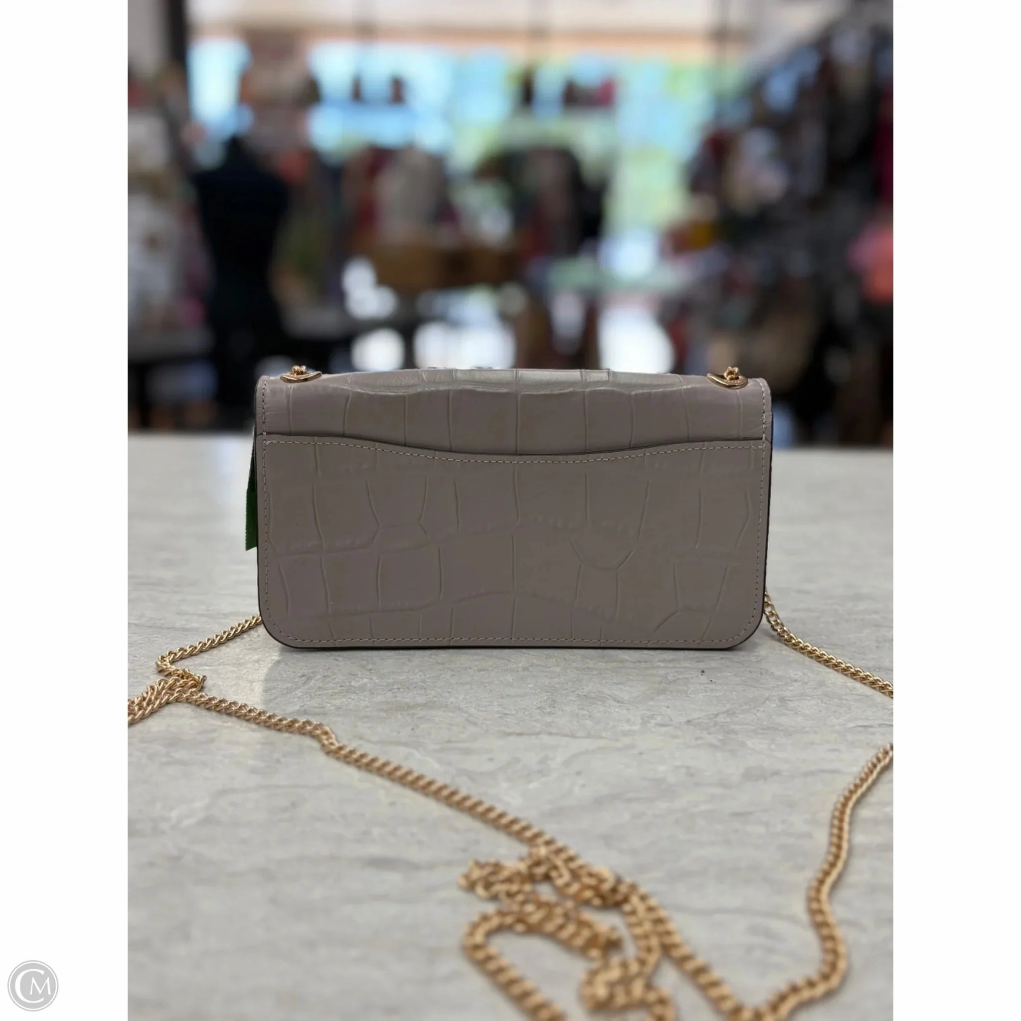 Crossbody Designer By Coach, Size: Small