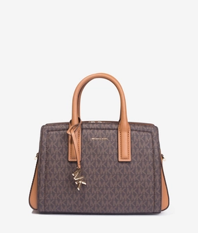 Laila tote in brown and acorn