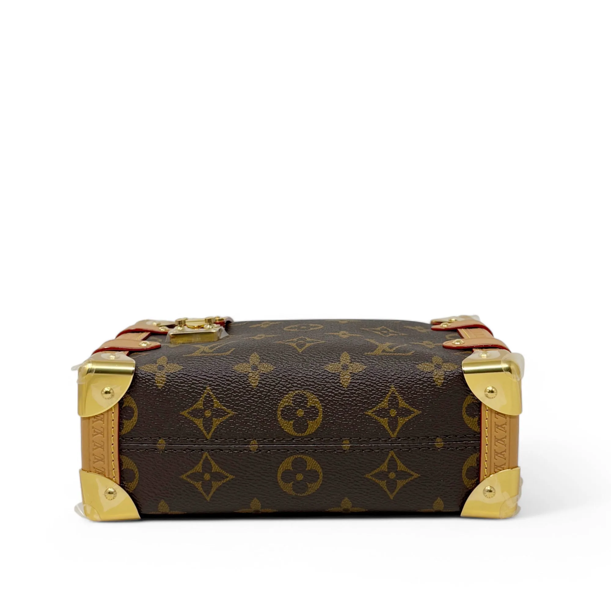 Louis Vuitton Monogram Side Trunk PM