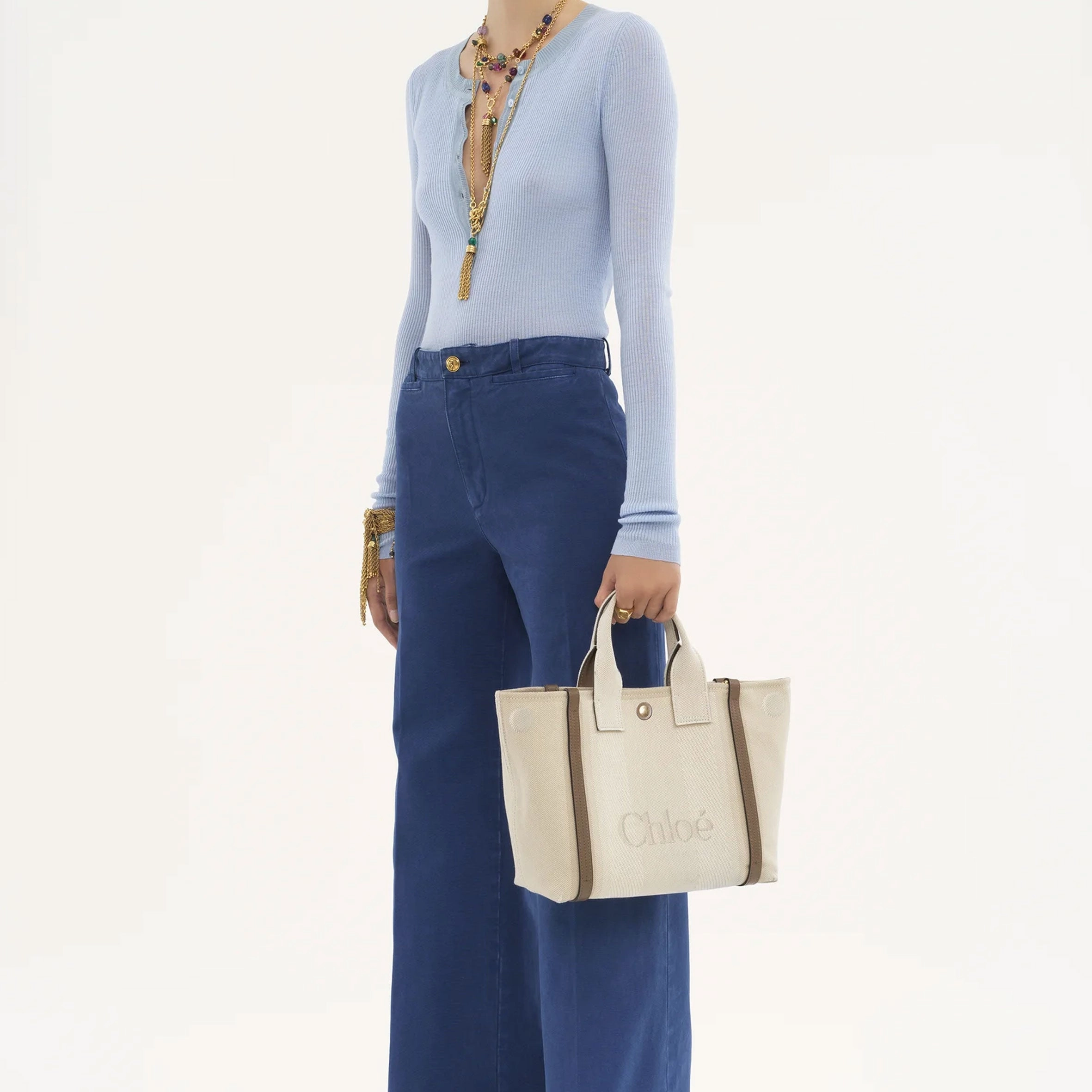 Small Canvas Carry Tote, Vegetal Beige