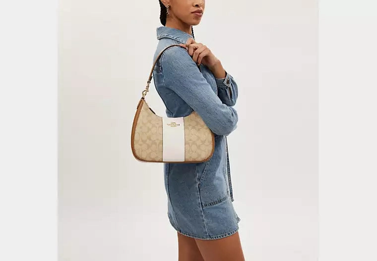 Teri Hobo Bag In Signature Canvas With Stripe